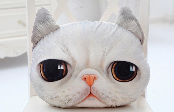 o delicado dos presentes da cara do gato 3D encheu o descanso do luxuoso, descansos decorativos para o sofá